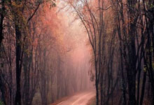 爱体育:比切尔西还狠!蓝军卫星队白堡首发平均21岁,现法甲第5离欧冠3分.