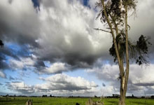 爱体育:米体:卡斯特罗想要加盟国米,博洛尼亚要价万欧元.